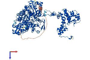 ACLY Protein (AA 1-1101) (His tag)