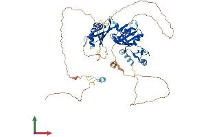 AlphaFold protein structure predicition of Human Recombinant CPEB1 Protein, UniprotID Q9BZB8