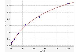 FBXO32 ELISA Kit