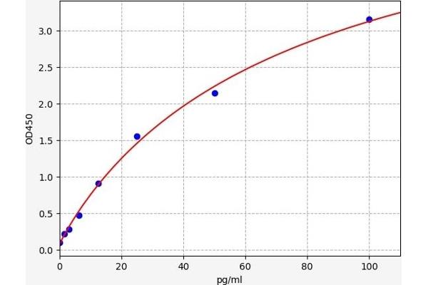 FBXO32 ELISA Kit