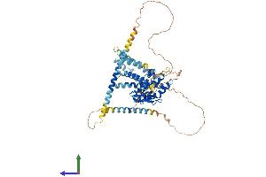 Protein Structure (PS) image for Spermatogenesis Associated 18 (SPATA18) (AA 1-537) protein (His tag) (ABIN7563619)