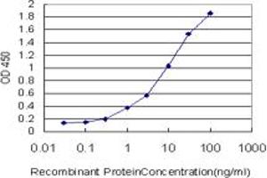 Detection limit for recombinant GST tagged RP6-213H19. (STK26/MST4 antibody  (AA 1-137))