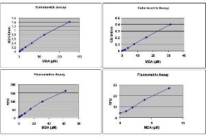 MDA Standard Curve.