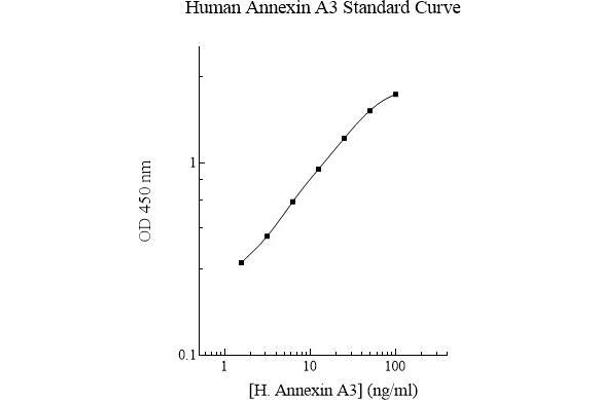 Annexin A3 ELISA Kit
