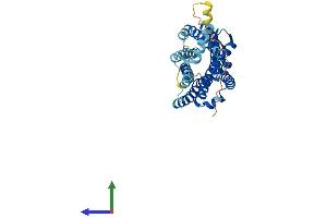 AlphaFold protein structure predicition of Mouse Recombinant Ccr3 Protein, UniprotID P51678