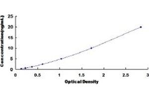 Typical standard curve (Prohibitin ELISA Kit)