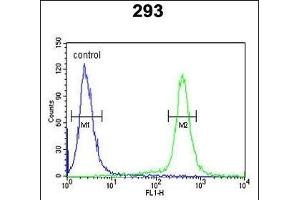 ESPN Antibody (N-term) (ABIN652258 and ABIN2841081) flow cytometric analysis of 293 cells (right histogram) compared to a negative control cell (left histogram). (Espin antibody  (N-Term))