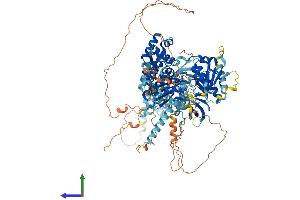 Protein Structure (PS) image for DNA Helicase B (HELB) (AA 1-1087) protein (His tag) (ABIN7554100)