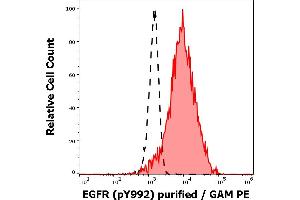 Separation of EGF stimulated A431 cell suspension stained using anti-human EGFR (pY992) (EM-12) purified antibody (concentration in sample 1 μg/mL, GAM PE, red-filled) from EGF stimulated A431 cell suspension unstained by primary antibody (GAM PE, black-dashed) in flow cytometry analysis (intracellular staining). (EGFR antibody  (Tyr992))