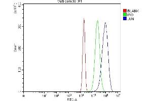 Flow Cytometry analysis of U20S cells using anti-C-Jun/JUN antibody (ABIN7601421). (C-JUN antibody  (AA 35-331))