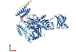 AlphaFold protein structure predicition of Mouse Recombinant Capn7 Protein, UniprotID Q9R1S8