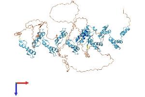 AlphaFold protein structure predicition of Human Recombinant ZNF658 Protein, UniprotID Q5TYW1