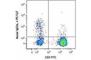 Flow Cytometry (FACS) image for anti-Chemokine (C-C Motif) Receptor 7 (CCR7) antibody (PE-Cy7) (ABIN2659156) (CCR7 antibody  (PE-Cy7))