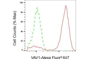 Flow cytometric analysis of VAV1 expression in Jurkat cells using VAV1 antibody (ABIN7800827), 1:2,000). (VAV1 antibody)