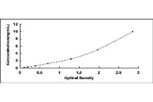 Typical standard curve (KLF2 ELISA Kit)