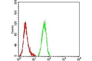 Flow cytometric analysis of Hela cells using COL1A1 mouse mAb (green) and negative control (red). (COL1A1 antibody  (AA 1219-1464))