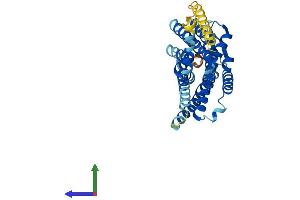 Protein Structure (PS) image for Somatostatin Receptor 2 (SSTR2) (AA 1-369) protein (His tag) (ABIN7563098)
