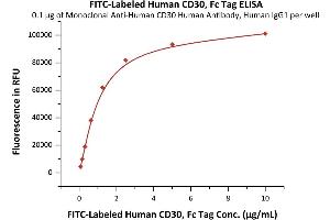 Immobilized Monoclonal A CD30 Human Antibody, Human IgG1 at 1 μg/mL (100 μL/well) can bind Fed Human CD30, Fc Tag (ABIN6972983) with a linear range of 0. (TNFRSF8 Protein (AA 19-379) (Fc Tag,FITC))