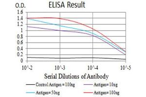 Black line: Control Antigen (100 ng),Purple line: Antigen (10 ng), Blue line: Antigen (50 ng), Red line:Antigen (100 ng) (GRM2 antibody  (AA 414-558))