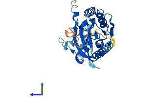 AlphaFold protein structure predicition of Human Recombinant TIGAR Protein, UniprotID Q9NQ88 (TIGAR Protein (AA 1-270) (His tag))