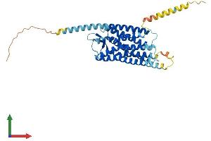 AlphaFold protein structure predicition of Mouse Recombinant Npsr1 Protein, UniprotID Q8BZP8 (NPSR1 Protein (AA 1-371) (His tag))
