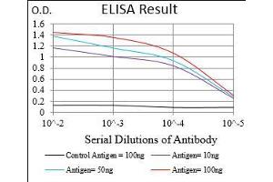 Black line: Control Antigen (100 ng), Purple line: Antigen(10 ng), Blue line: Antigen (50 ng), Red line: Antigen (100 ng), (PLA2G12A antibody  (AA 21-189))