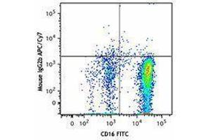 Flow Cytometry (FACS) image for anti-Chemokine (C-C Motif) Receptor 3 (CCR3) antibody (APC-Cy7) (ABIN2660558) (CCR3 antibody  (APC-Cy7))