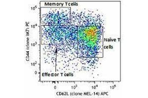 Flow Cytometry (FACS) image for Mouse Naive/Memory T cell ID Panel (ABIN2669200) (Mouse Naive/Memory T cell ID Panel)