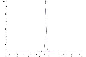 MCEMP1 Protein (AA 107-187) (Fc Tag)