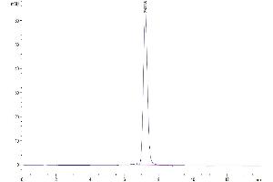 The purity of Human MCEMP1 is greater than 95 % as determined by SEC-HPLC. (MCEMP1 Protein (AA 107-187) (Fc Tag))