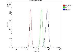 anti-NLR Family Member X1 (NLRX1) (AA 98-874) antibody