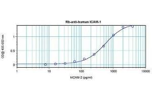 Image no. 3 for anti-Intercellular Adhesion Molecule 1 (ICAM1) antibody (ABIN465661) (ICAM1 antibody)