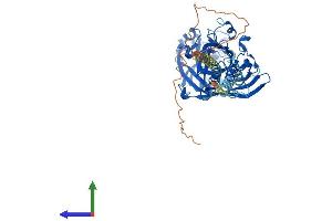 Protein Structure (PS) image for Scavenger Receptor Class B, Member 1 (SCARB1) (AA 1-552) protein (His tag) (ABIN7555418)