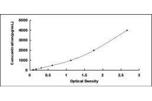 ELISA image for BCL2-Associated X Protein (BAX) ELISA Kit (ABIN424766) (BAX ELISA Kit)