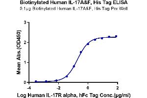 Immobilized Biotinylated Human IL-17A&F, His Tag at 1 μg/mL (100 μL/Well) on the plate. (IL-17A/F Protein (His-Avi Tag,Biotin))