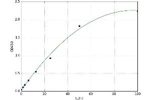 Epithelial Cell Adhesion Molecule (EPCAM) ELISA Kit