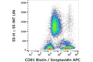 Surface staining of CD81 in human peripheral blood with anti-CD81 (M38) biotin, streptavidin-APC. (CD81 antibody  (Biotin))