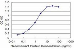 Detection limit for recombinant GST tagged TLX3 is approximately 0. (TLX3 antibody  (AA 192-291))