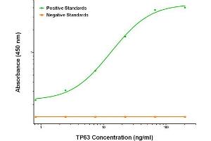 ELISA image for anti-Tumor Protein P63 (TP63) antibody (ABIN2672150) (p63 antibody)