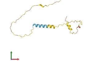 AlphaFold protein structure predicition of Human Recombinant MIR1-1HG Protein, UniprotID Q9H1L0