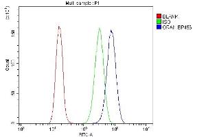 Flow Cytometry analysis of CACO-2 cells using anti-ORAI1 antibody (ABIN7601852). (ORAI1 antibody  (AA 49-301))