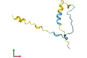 AlphaFold protein structure predicition of Human Recombinant CDC42SE1 Protein, UniprotID Q9NRR8