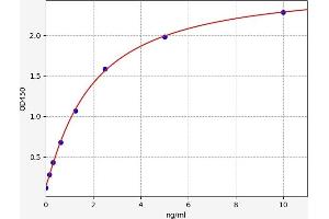 MAT2A ELISA Kit