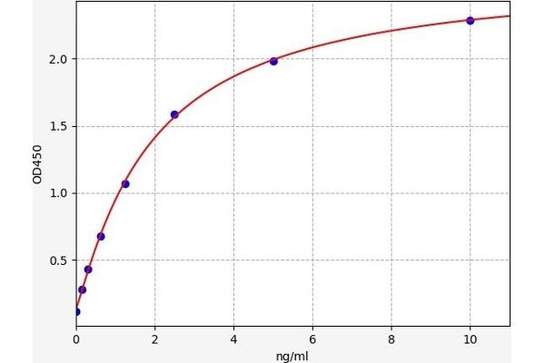 MAT2A ELISA Kit