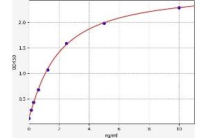 Typical standard curve (MAT2A ELISA Kit)