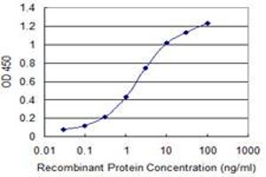 Detection limit for recombinant GST tagged TIAM2 is 0. (TIAM2 antibody  (AA 527-624))