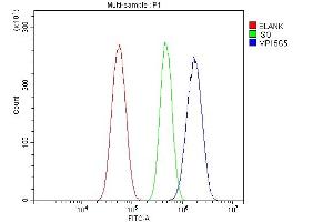 Flow Cytometry analysis of U87 cells using anti-MPI antibody (ABIN7600514). (MPI antibody  (AA 2-99))