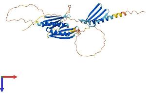 AlphaFold protein structure predicition of Mouse Recombinant Purg Protein, UniprotID Q8R4E6 (PURG Protein (AA 1-350) (His tag))