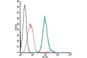 Cell surface detection of P2Y14 by direct flow cytometry in live intact mouse J774 macrophage cells: (black line) Cells. (P2RY14 antibody  (Extracellular, Loop 2) (FITC))