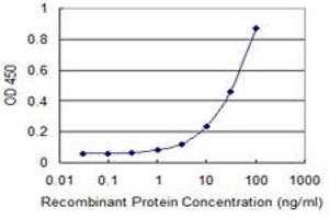 Detection limit for recombinant GST tagged RXRB is 1 ng/ml as a capture antibody. (Retinoid X Receptor beta antibody  (AA 161-260))